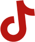 tiktok icon